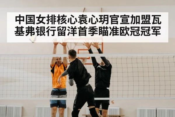 volleyball spike block