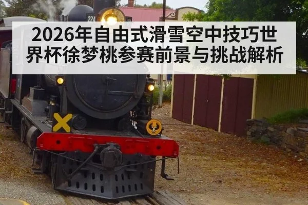 2026年自由式滑雪空中技巧世界杯徐梦桃参赛前景与挑战解析